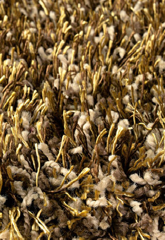 Area Rug Store Winnipeg