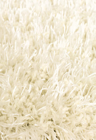Area Rug Store Winnipeg