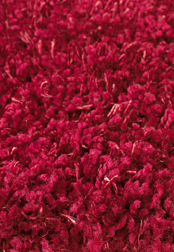 Area Rug Store Winnipeg