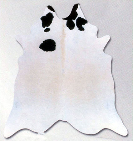 Area Rug Store Winnipeg