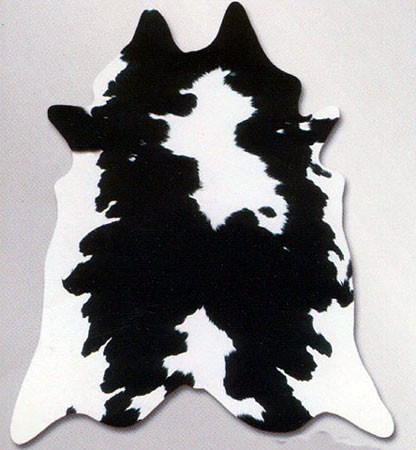 Area Rug Store Winnipeg