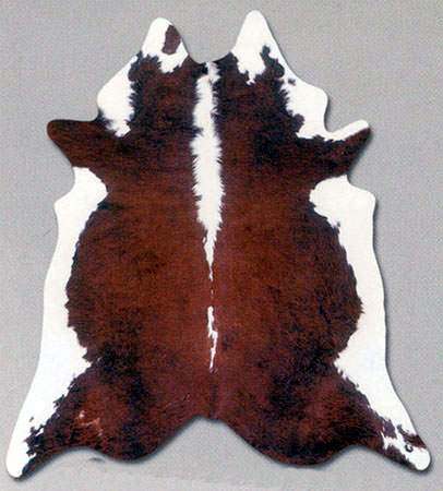 Area Rug Store Winnipeg