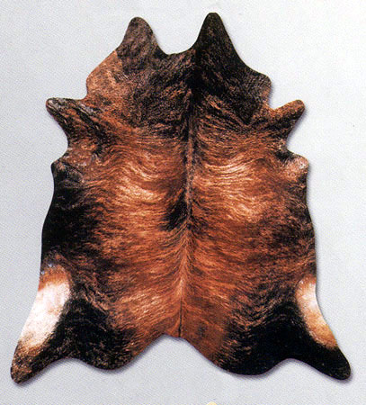 Area Rug Store Winnipeg