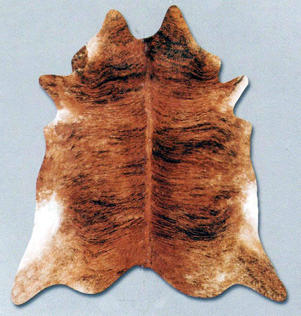 Area Rug Store Winnipeg