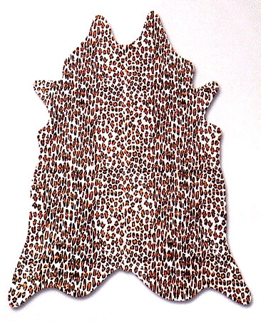 Area Rug Store Winnipeg