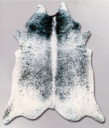 Area Rug Store Winnipeg