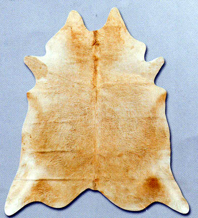 Area Rug Store Winnipeg