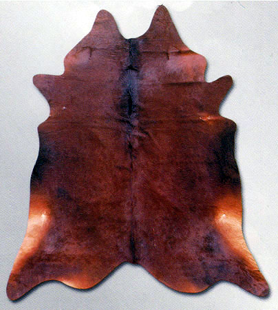 Area Rug Store Winnipeg