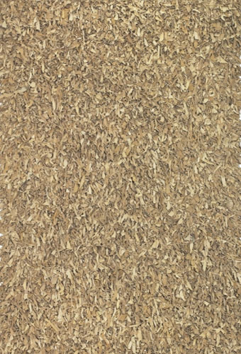 Area Rug Store Winnipeg