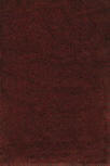 Area Rug Store Winnipeg