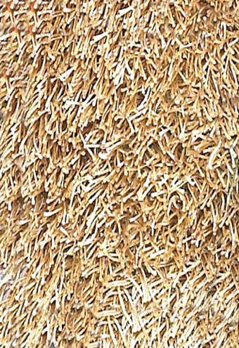 Area Rug Store Winnipeg
