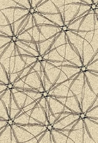 Area Rug Store Winnipeg