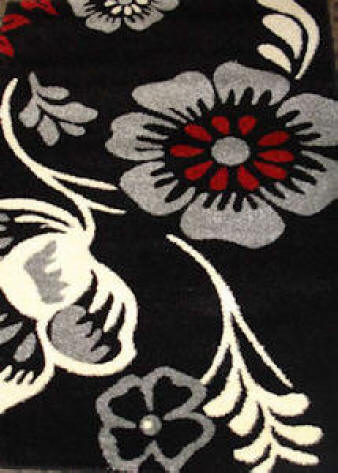 Area Rug Store Winnipeg