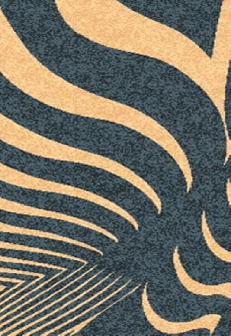 Area Rug Store Winnipeg