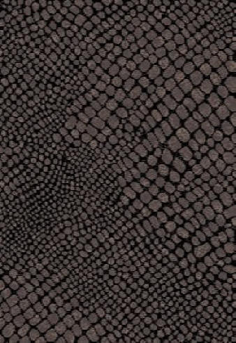 Area Rug Store Winnipeg