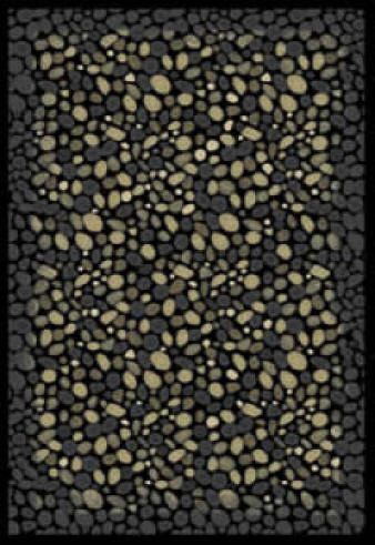 Area Rug Store Winnipeg