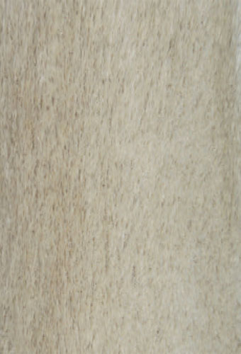 Area Rug Store Winnipeg