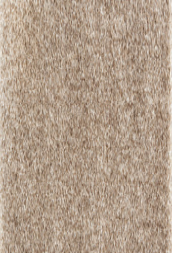 Area Rug Store Winnipeg