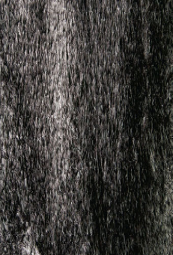 Area Rug Store Winnipeg