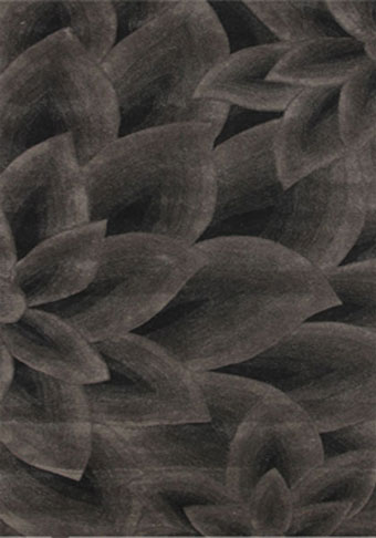 Area Rug Store Winnipeg