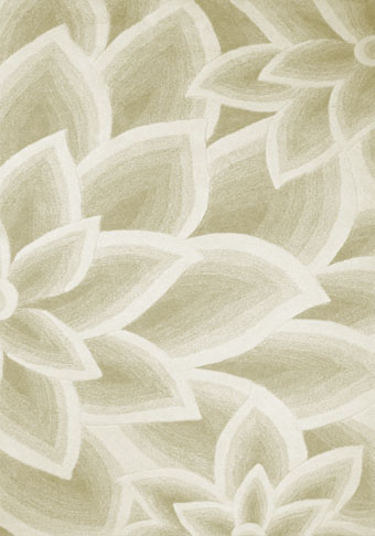 Area Rug Store Winnipeg