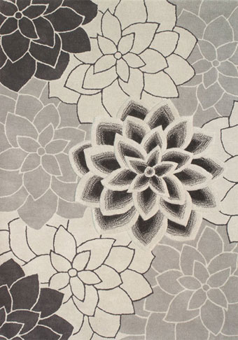 Area Rug Store Winnipeg