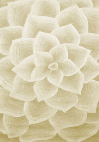 Area Rug Store Winnipeg