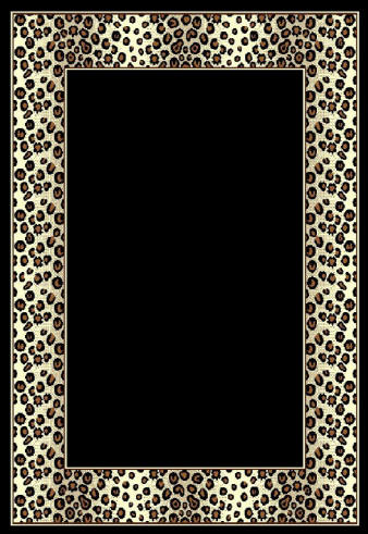 Area Rug Store Winnipeg