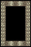 Area Rug Store Winnipeg