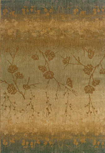 Area Rug Store Winnipeg