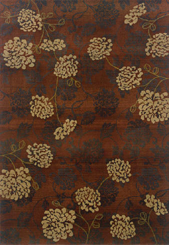 Area Rug Store Winnipeg