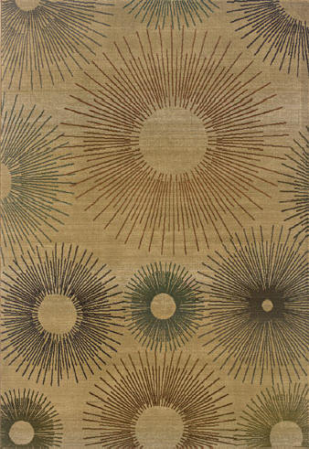 Area Rug Store Winnipeg