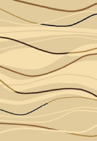 Area Rug Store Winnipeg