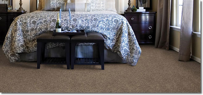 Area Rug Store Winnipeg