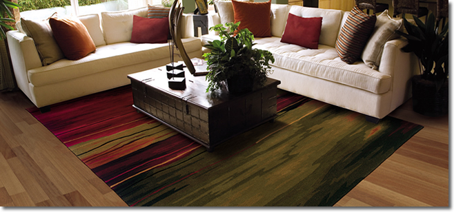 Area Rug Store Winnipeg